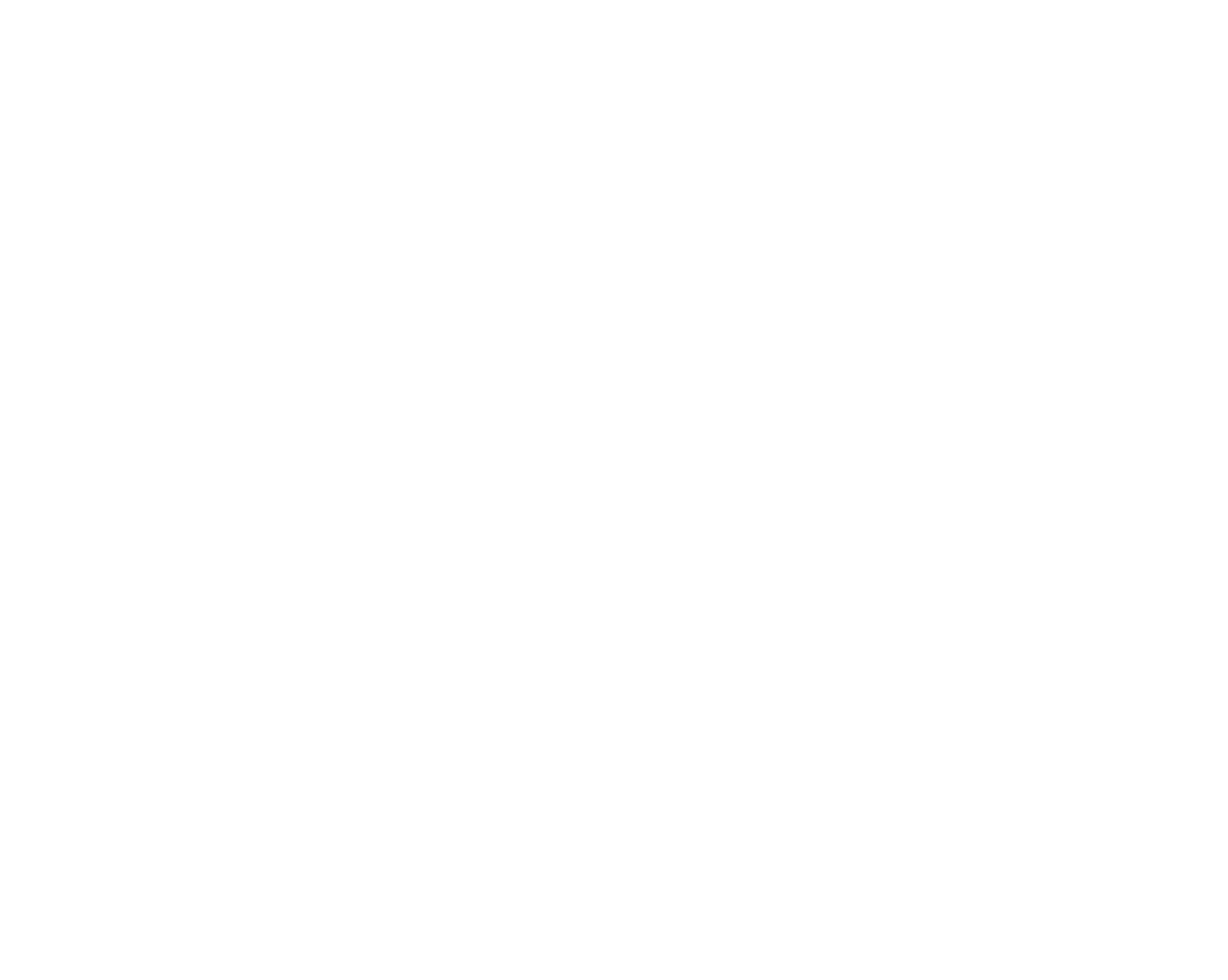 Steelbird Logo